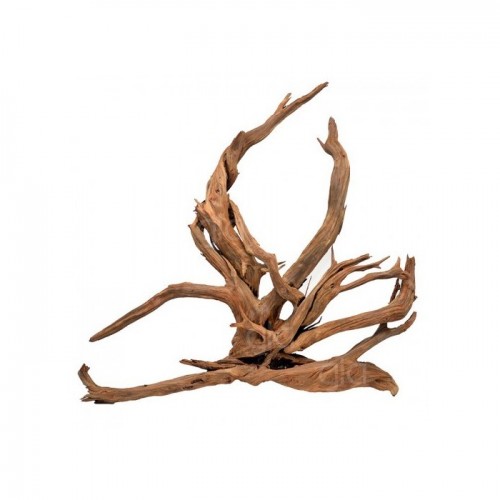 Yati  Kökü (Red Moor Wood )- S - 20-25 Cm
