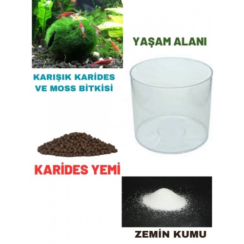 .Karides Akvaryumu Yaşam Alanı (Fanus+Yem+Kum+Karides) 