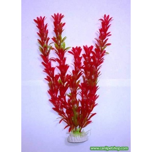.Elodea Kırmızı Plastik Bitki Boy : 20 Cm
