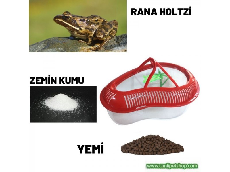 .TatlıSu Kurbağası Teraryumu Yaşam Alanı (Teraryum+Yem+Kurbağa) Komple Set