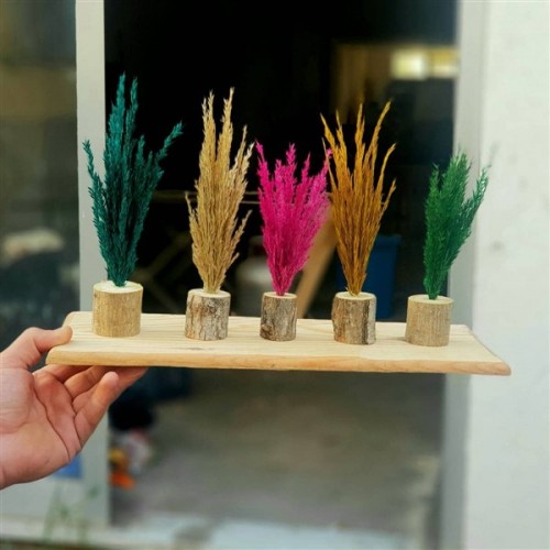 Renkli ORJİNAL Pampas Çiçeği 5 ADET 15-25 cm