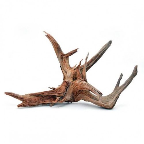 Yati  Kökü (Red Moor Wood ) - L - 60-75 Cm