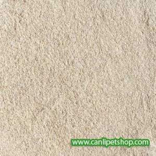 Mercan Kumu 1 kg
