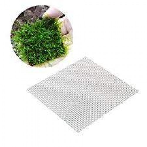 Moss Sarılı Çelik Bitki Teli 10x10 Cm