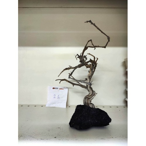 Özel Tasarım Akvaryum Dekoratif Ağaç Kaya 25*27 Cm No:21