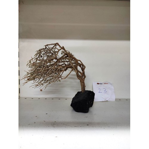 Özel Tasarım Akvaryum Dekoratif Ağaç Kaya 18*23 Cm 