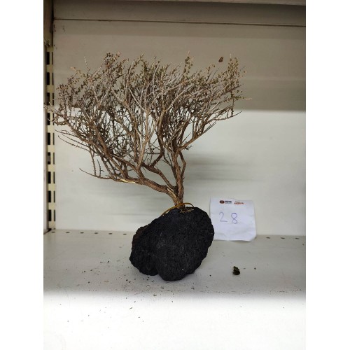 Özel Tasarım Akvaryum Dekoratif Ağaç Kaya 23*26 Cm No:28