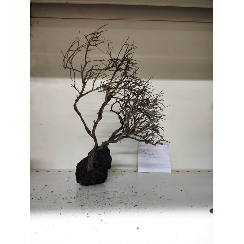 Özel Tasarım Akvaryum Dekoratif Ağaç Kaya 32*27 Cm No:36