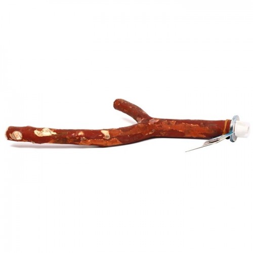 Dogal Dal Tünek Kızıl Renk 40 cm Kalın 