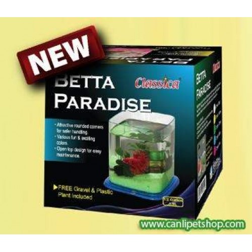 Betta Kabı 1.9 Litre Hediyeli ŞOK FİYAT
