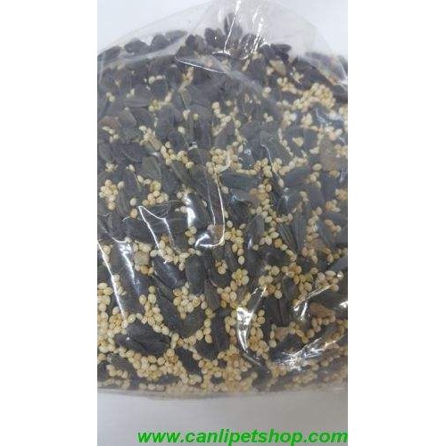 Papağan Paraket Bol Çekirdekli 1 kg Taze