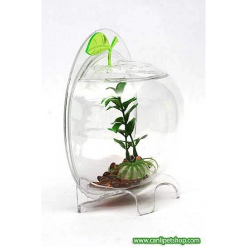 Resun Fancy Apple Fanus 21 Cm