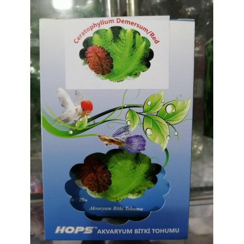 HOPS CANLI BİTKİ TOHUMU CERATOPHYLLUM DEMERSUM/RED