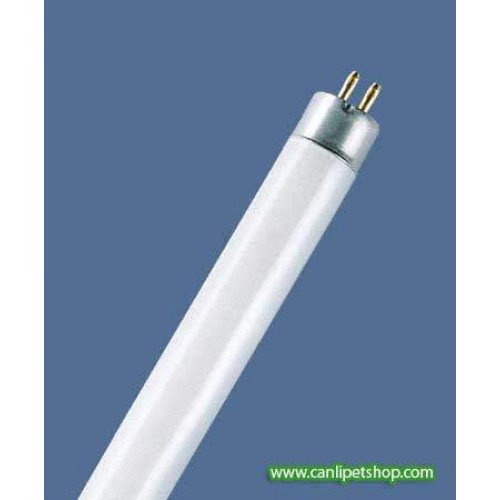 T5 14 W Floresan 55 Cm Daylight
