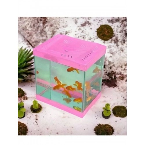 Renkli Kare Mini Akvaryum 20x20x15 Pembe
