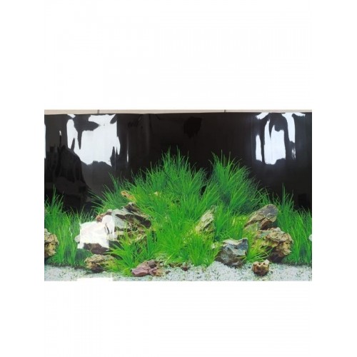 Arka Fon No:9022 Yeşillik 50 cm Uzunluk (30 cm Yükseklik)