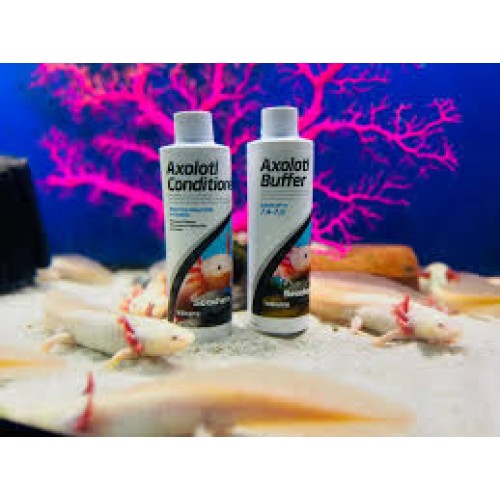 Seachem Axolotl Conditioner 250ml Axolotl Akvaryumları İçin Su Düzenleyici
