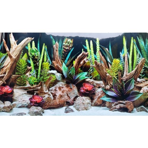 Arka Fon Kırmızı Taş Kaktüs 50 cm Uzunluk Yükseklik 45 Cm NO 8940