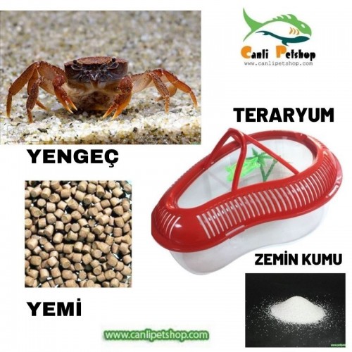 TatlıSu Yengeci Teraryumu Yaşam Alanı (Teraryum+Yem+Kum+Yengeç)