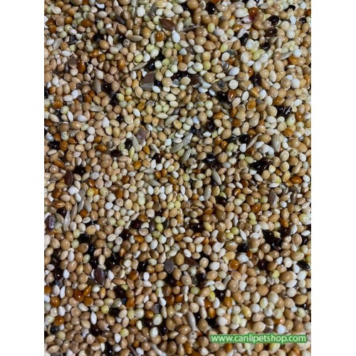 Tüm Kuşlar İçin Destek Yemi 1 Kg