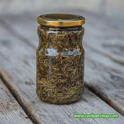 Zeytinyağlı Zahter 1 Kavanoz 650 Gr.